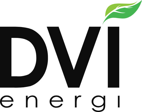 DVI logo
